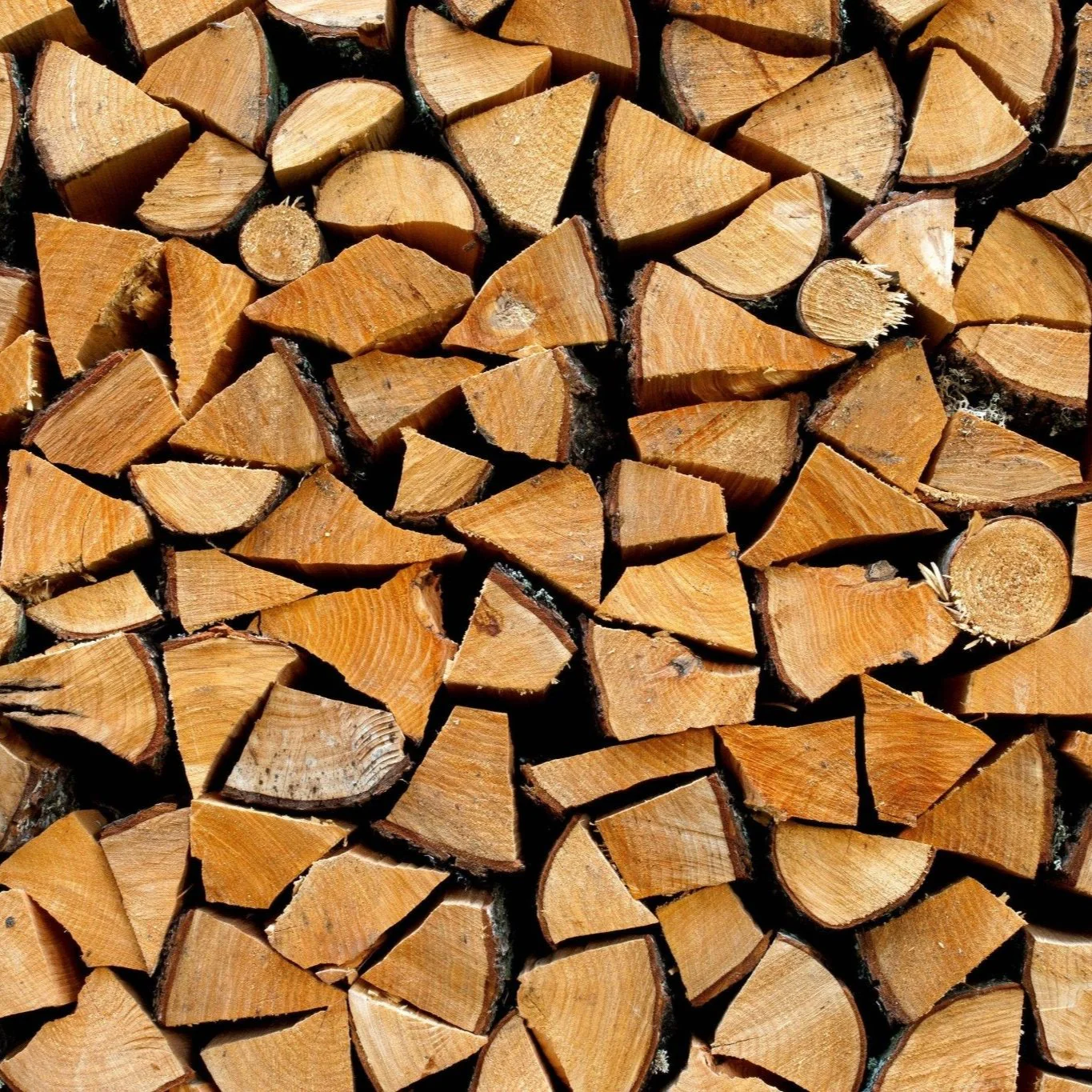 Bûches pour foyer (1 sac)